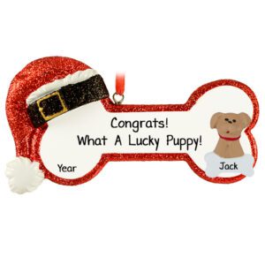 Image of New DOG On Bone Personalized Gift For The Owners Ornament